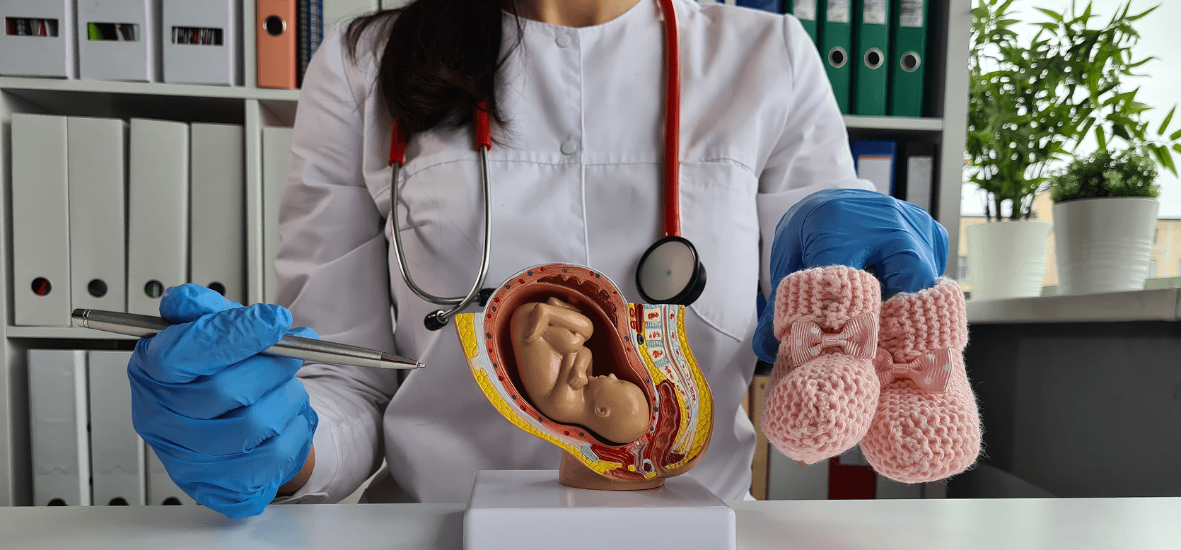 Best High Risk Pregnancy Doctor in Kokapet: Understanding Specialist Pregnancy Care