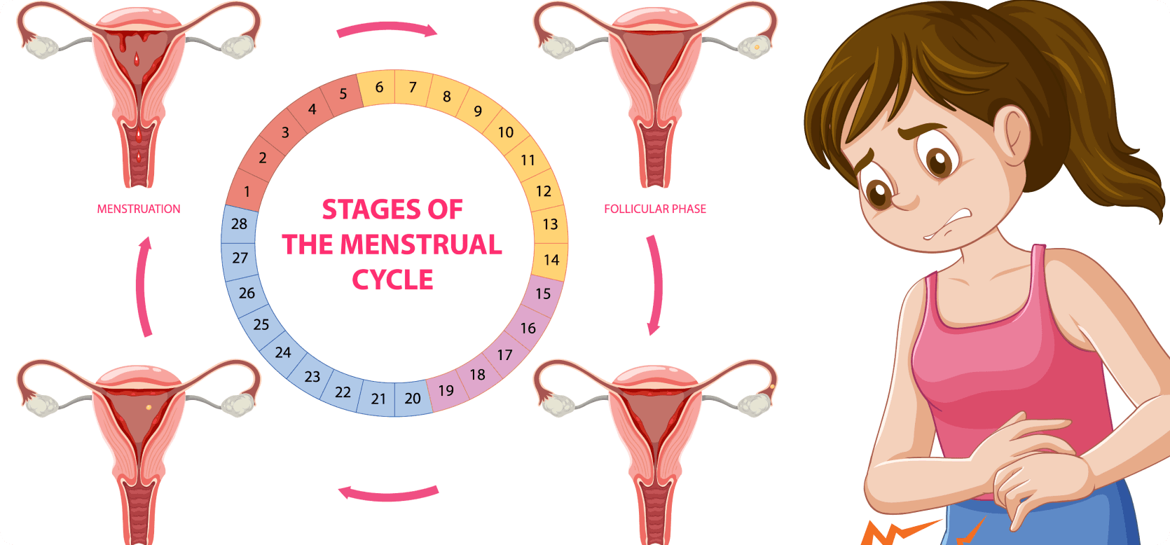 Menstrual Disorder Doctor in Kokapet: Understanding Common Menstrual Problems